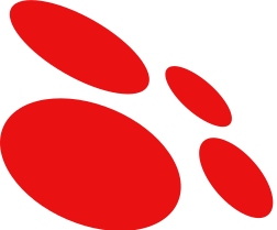 Copernica